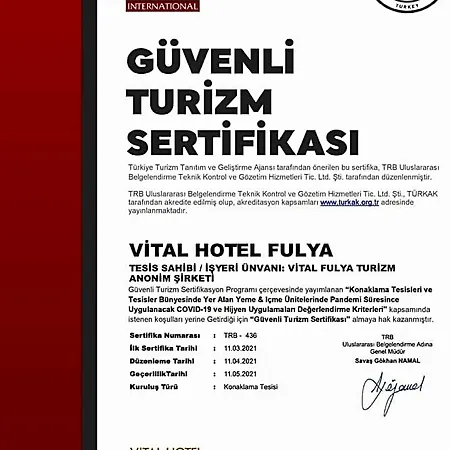 Vital Fulya Sisli